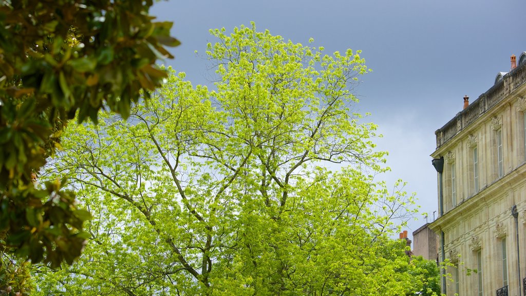 Jardin Public showing a park