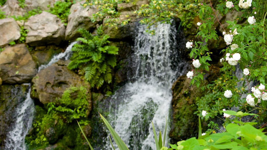 Jardin Public mostrando um parque e uma cascata