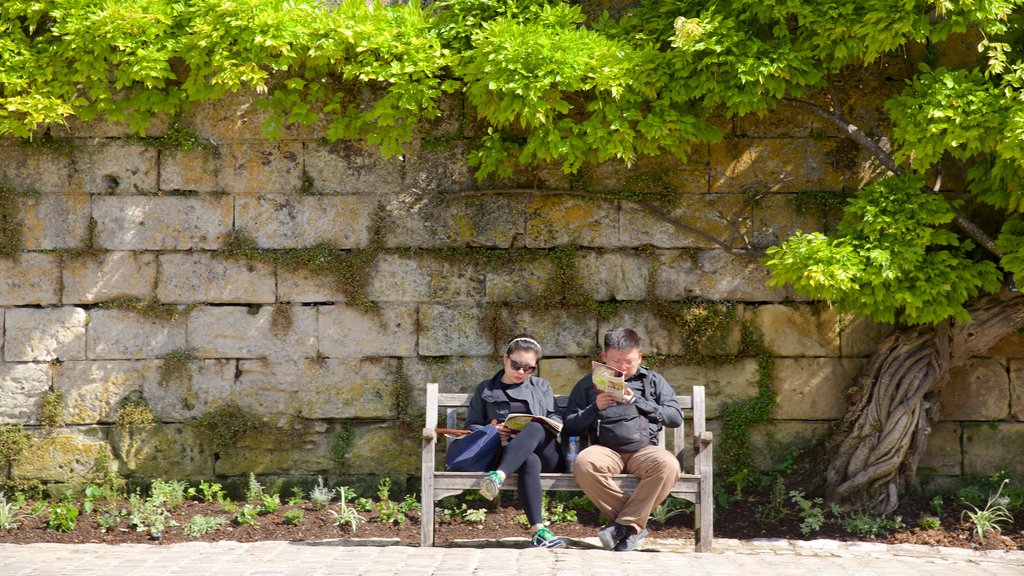 Chateau d\'Amboise caracterizando um jardim assim como um casal