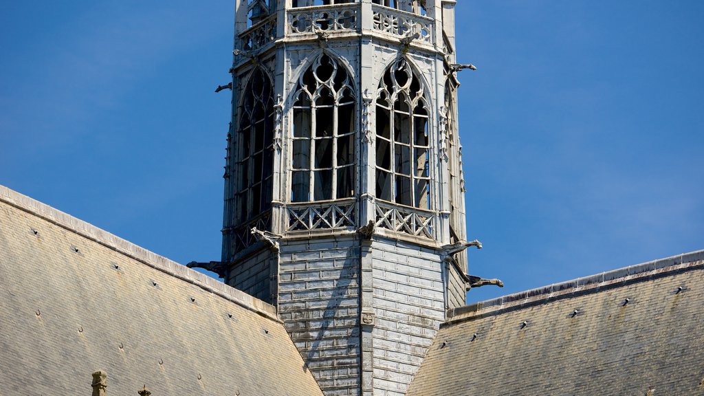 Catedral de Sainte-Croix que inclui arquitetura de patrimônio e uma igreja ou catedral