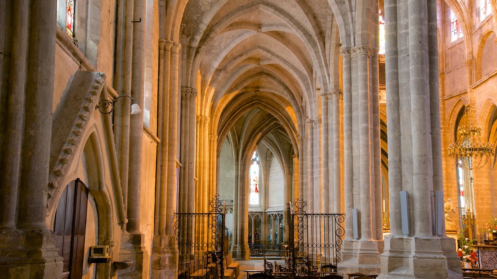 Kathedraal Saint Jean Baptiste inclusief historische architectuur, een kerk of kathedraal en interieur