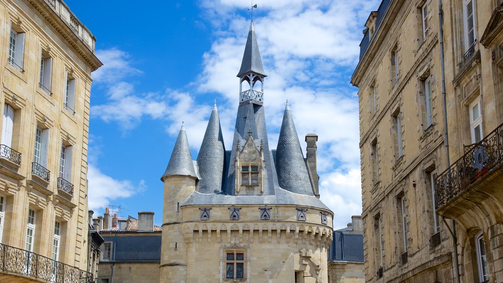 Bordeaux showing heritage architecture