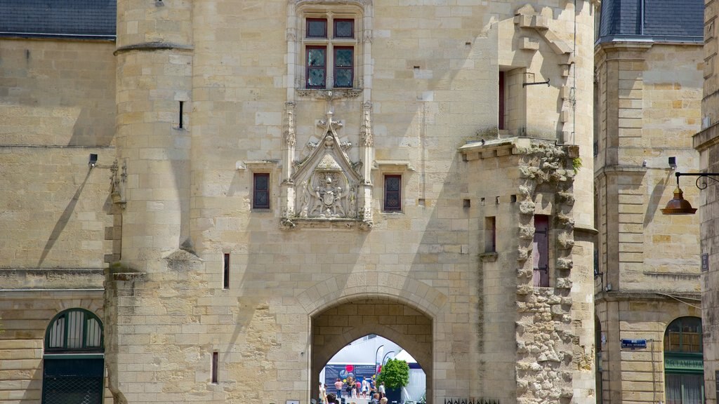 Bordeaux showing heritage architecture