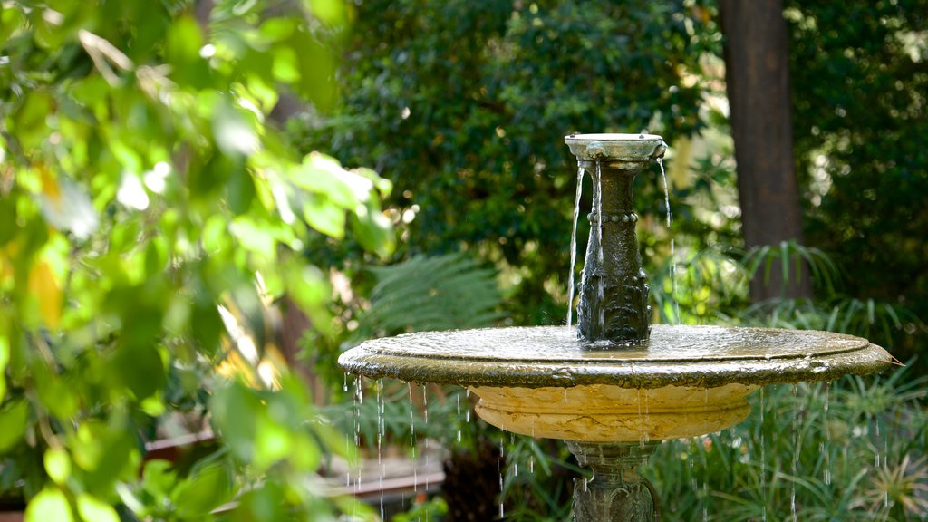 Monaco featuring a fountain