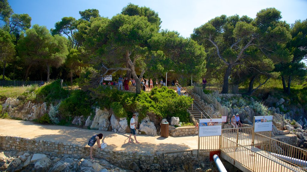 Île Saint-Honorat