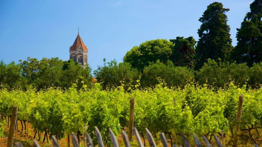 Ile Saint-Honorat som inkluderer åkre