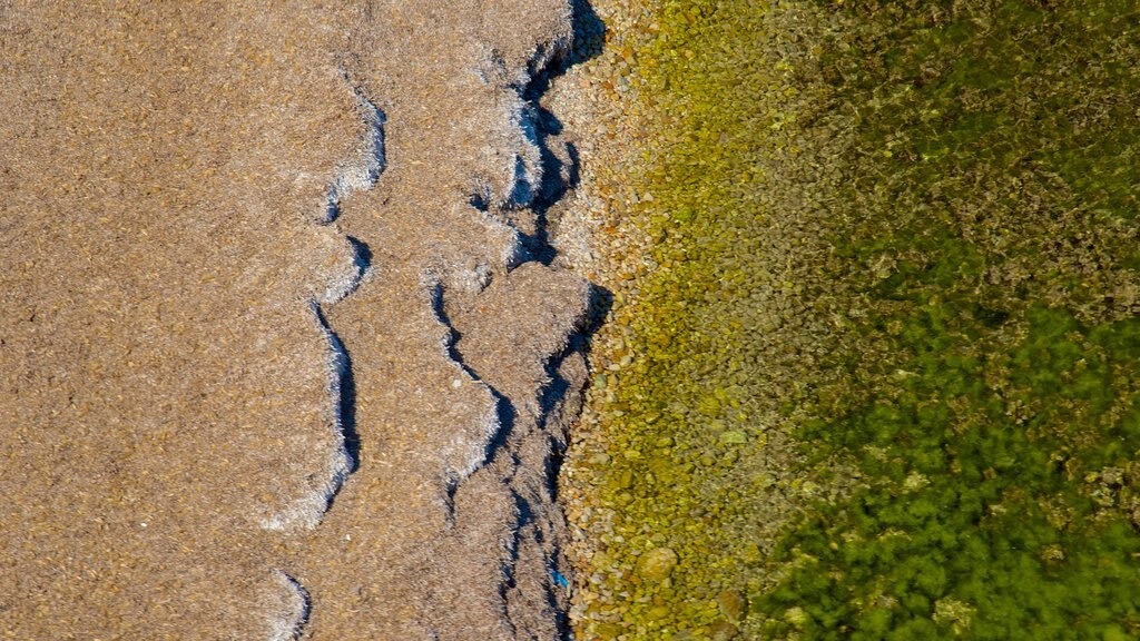 Île Saint-Honorat que incluye una playa