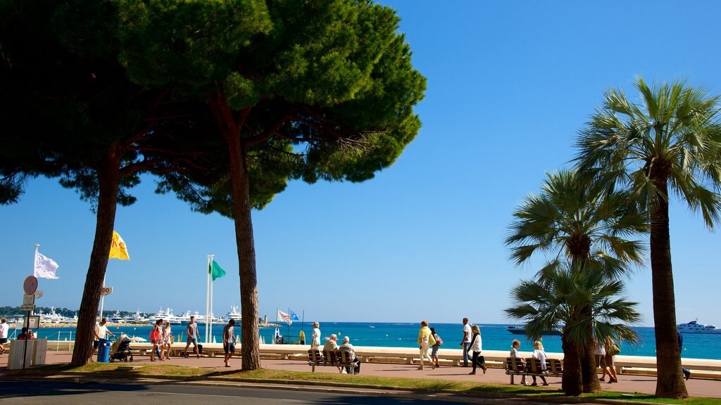 La Croisette mostrando una bahía o puerto