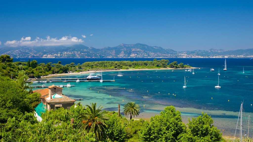 Fort Royal showing a bay or harbor