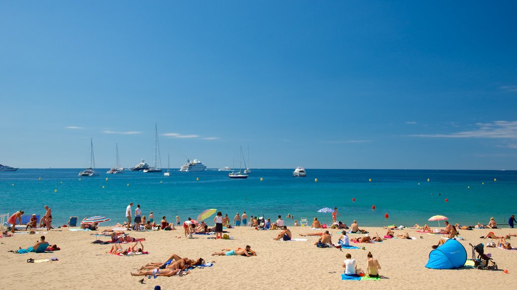 Croisette Beach which includes a sandy beach and a bay or harbour