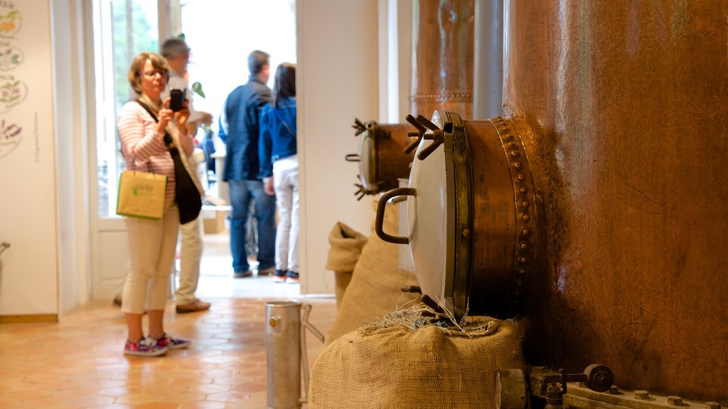 Museo Internacional de la Perfumería ofreciendo vista interna