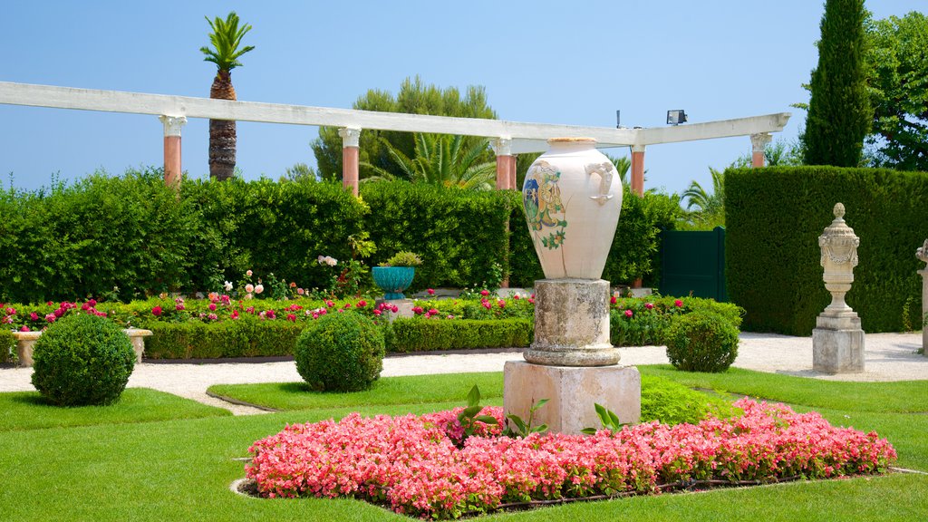 Villa Ephrussi showing a park and a castle