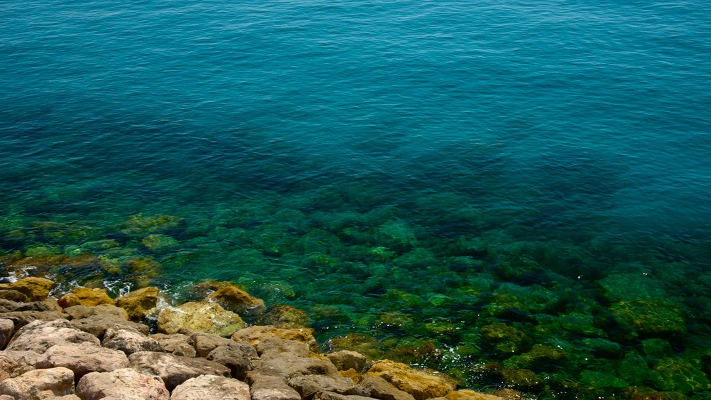 Menton mostrando vistas generales de la costa