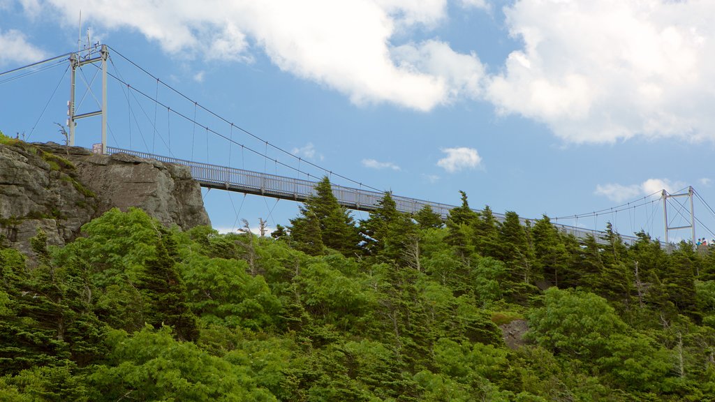 Grandfather Mountain showing a bridge