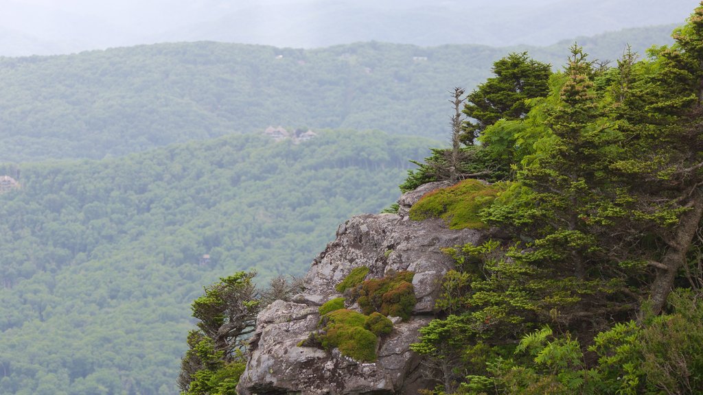 Grandfather Mountain que incluye montañas