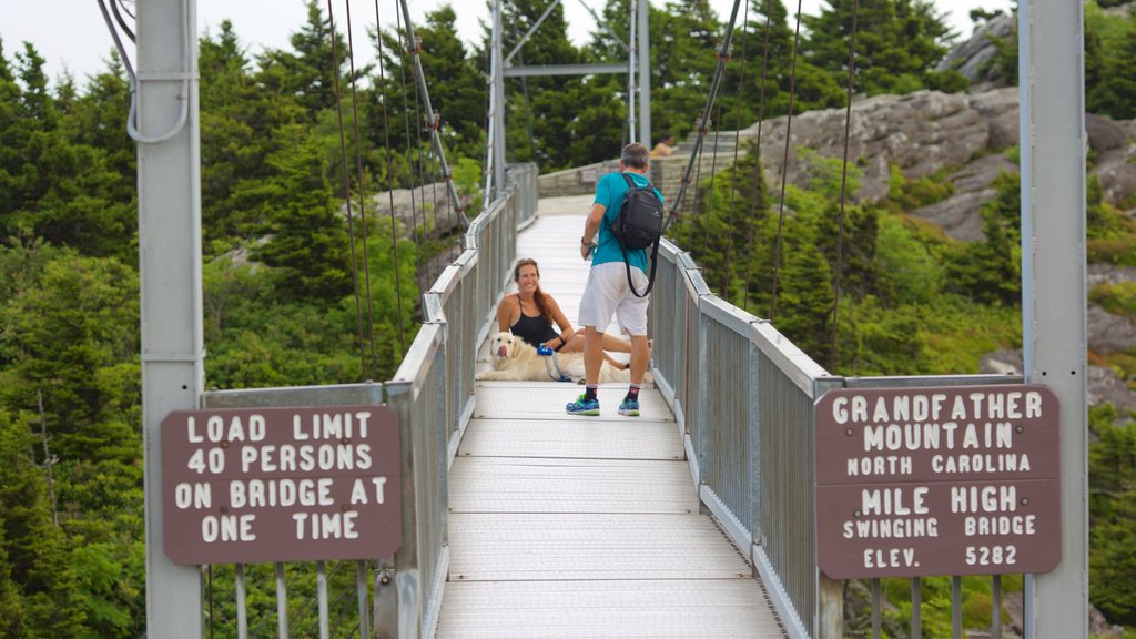 Grandfather Mountain showing cuddly or friendly animals and a suspension bridge or treetop walkway as well as a couple