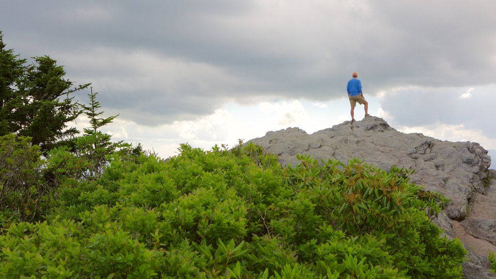 Grandfather Mountain mettant en vedette montagnes aussi bien que un homme seul