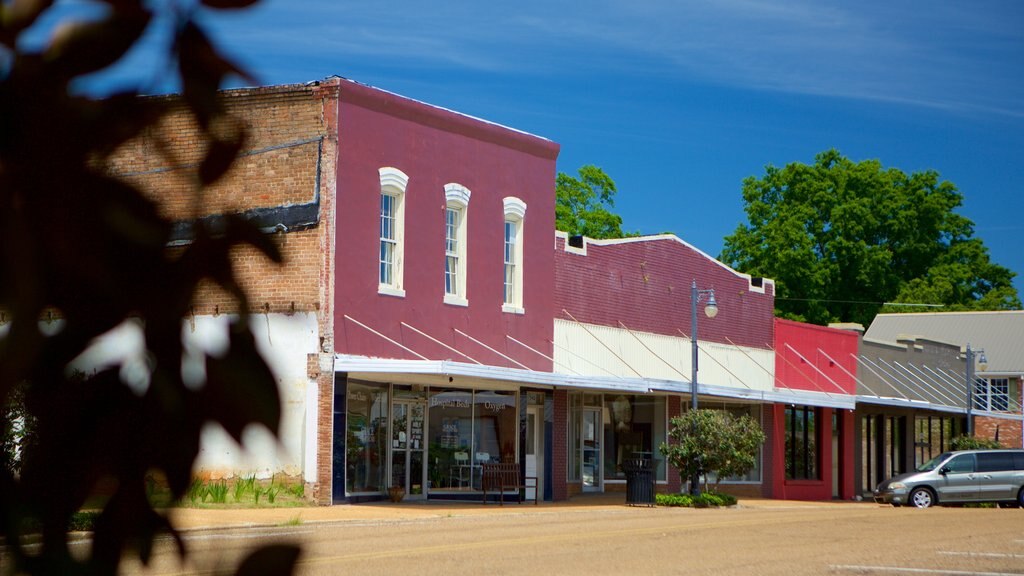 Magee showing a small town or village