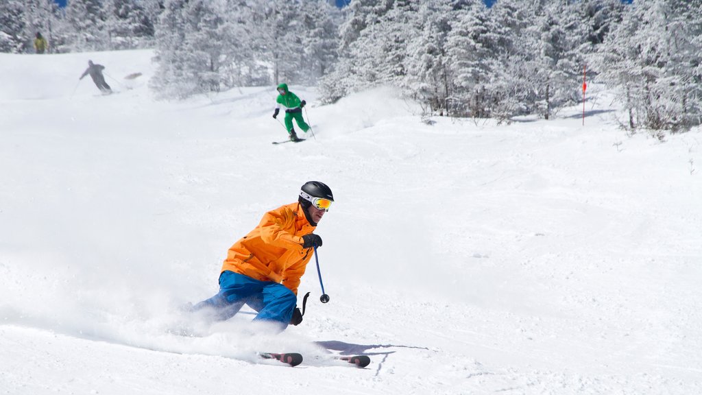 Whiteface Mountain showing snow and snow skiing as well as an individual male