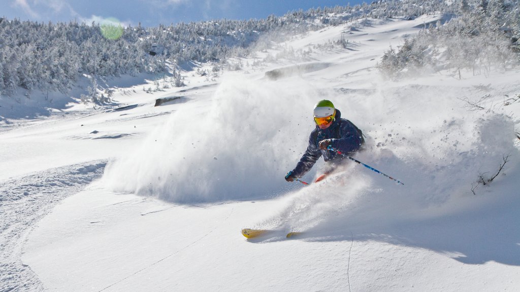 Whiteface Mountain showing snow and snow skiing as well as an individual male