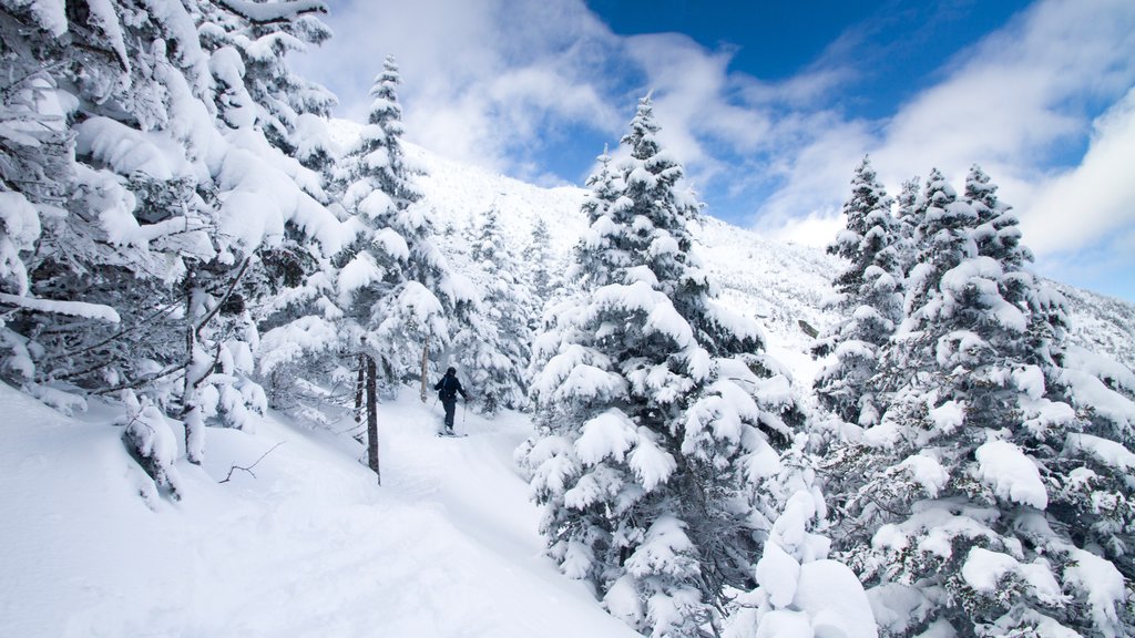 Montaña Whiteface que incluye nieve y ski en la nieve y también un hombre