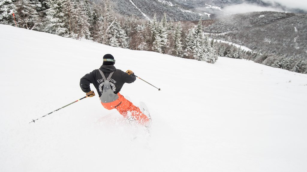 Whiteface Mountain que inclui esqui na neve e neve assim como um homem sozinho