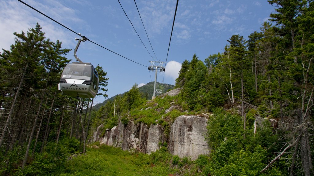 Whiteface Mountain showing mountains and a gondola