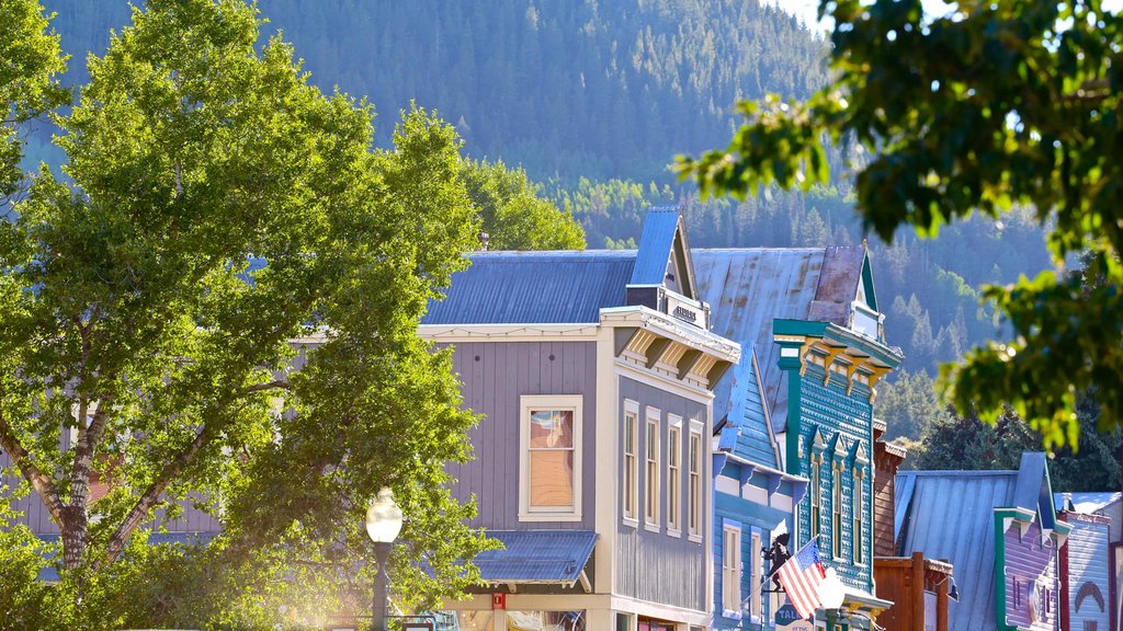 Crested Butte Mountain Resort showing a small town or village