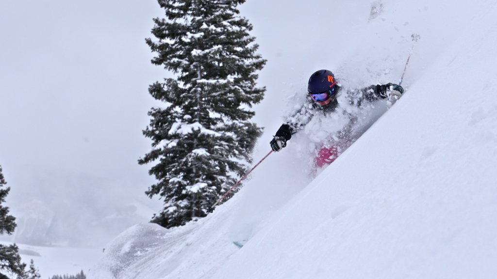 Crested Butte Mountain Resort que incluye ski en la nieve y nieve y también una mujer