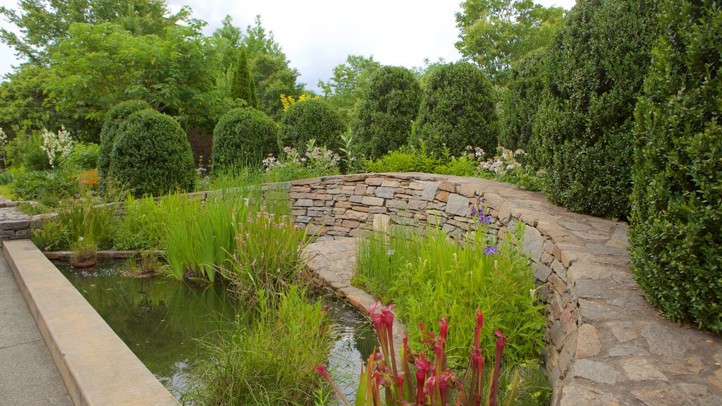 North Carolina Arboretum showing a pond, flowers and a park