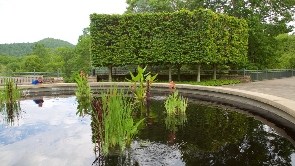 North Carolina Arboretum showing a garden as well as an individual child