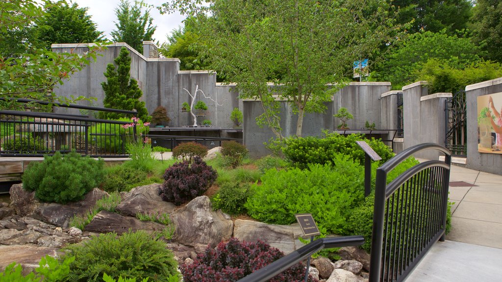 North Carolina Arboretum showing a garden