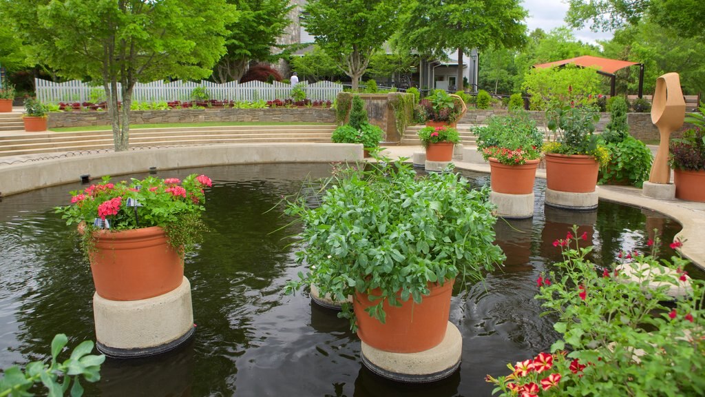 North Carolina Arboretum showing a park