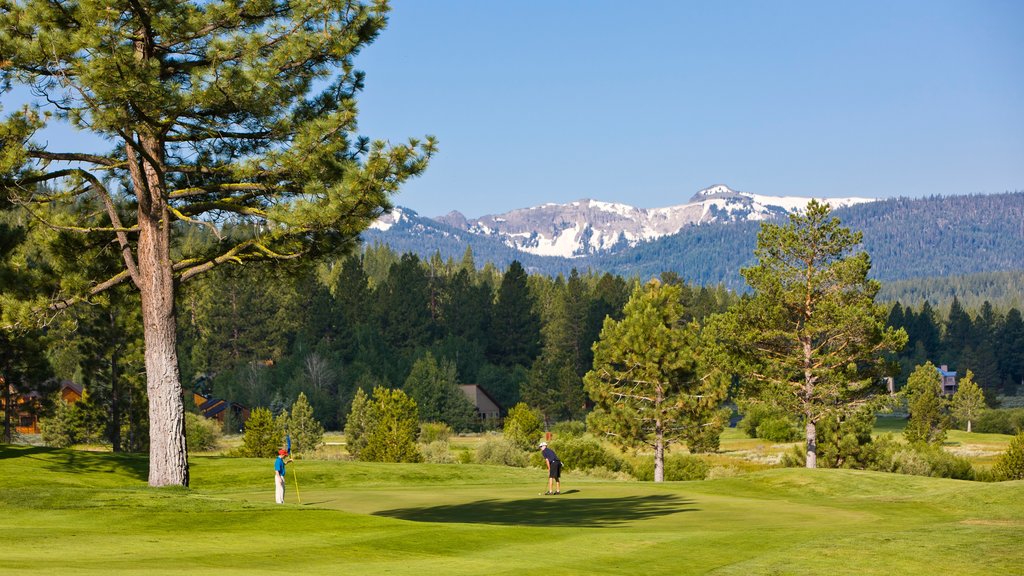 Northstar California Resort welches beinhaltet Golf sowie kleine Menschengruppe