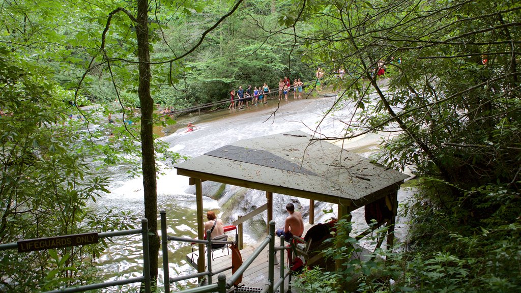 Sliding Rock which includes a river or creek and forests as well as a large group of people