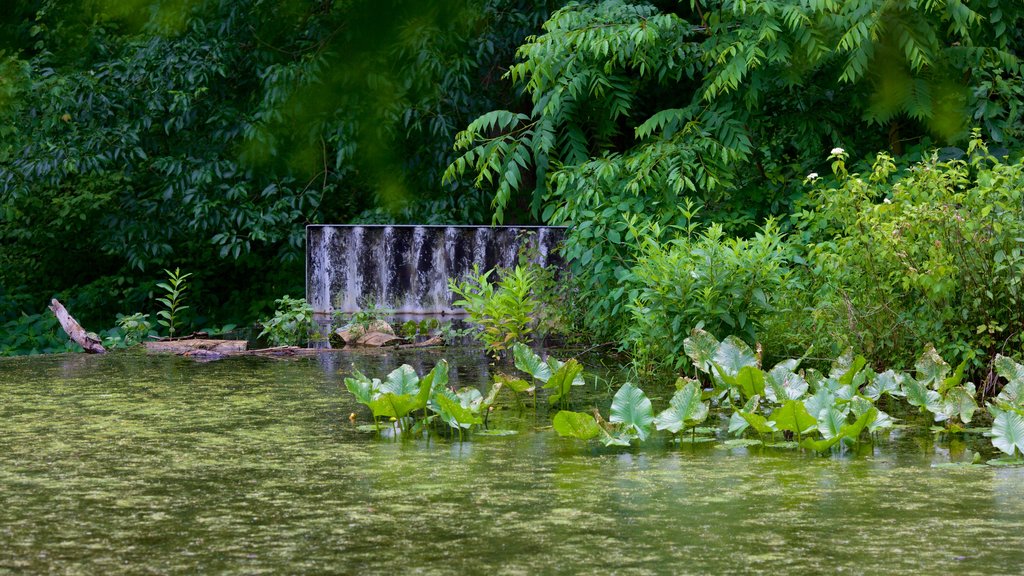 Pemberton Historical Park mostrando um jardim