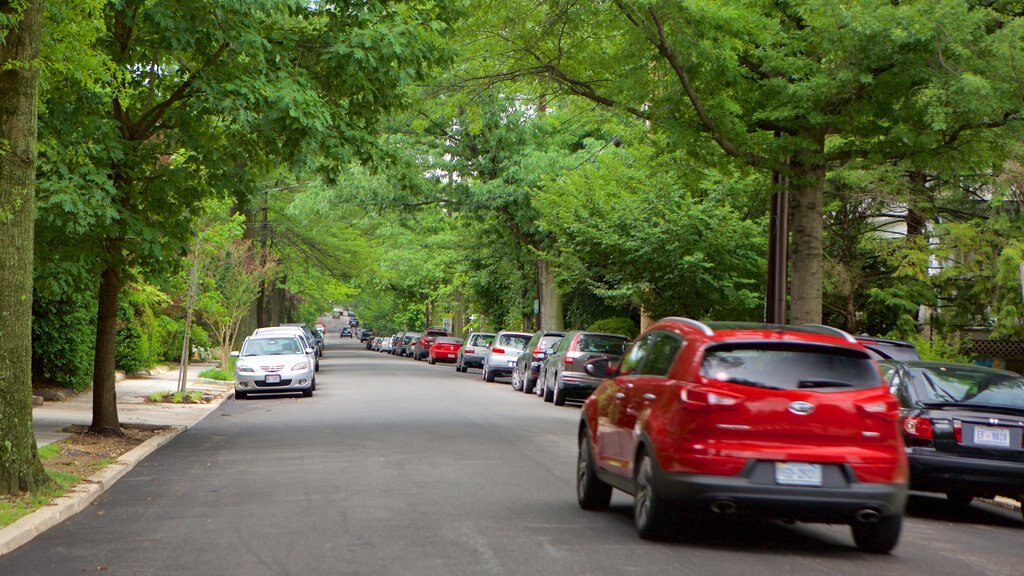 Cleveland Park mettant en vedette un jardin et scènes de rue