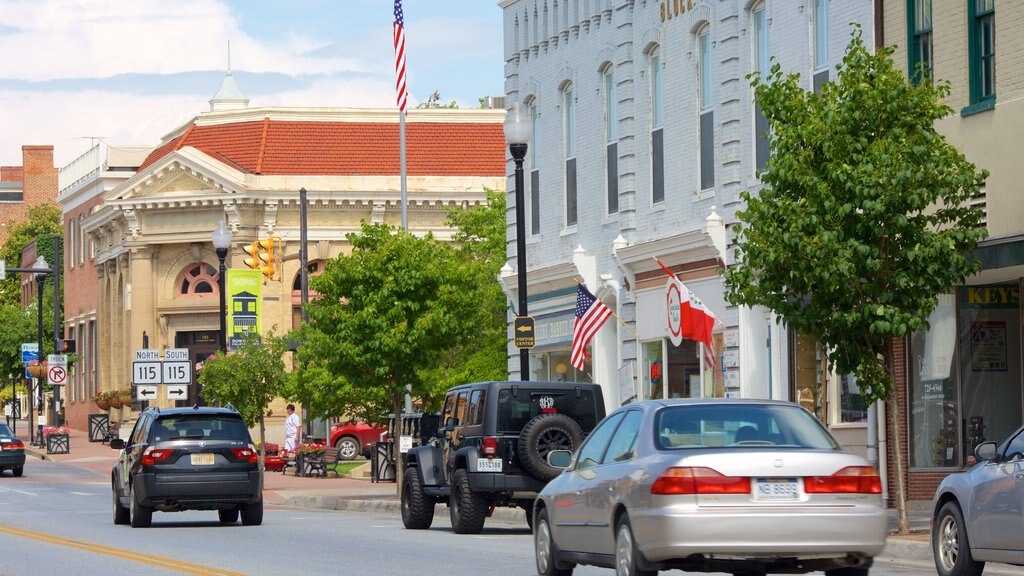 Charles Town showing street scenes and a small town or village