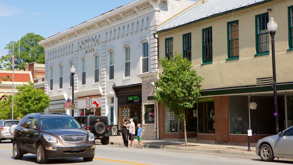 Charles Town showing an administrative buidling and heritage elements