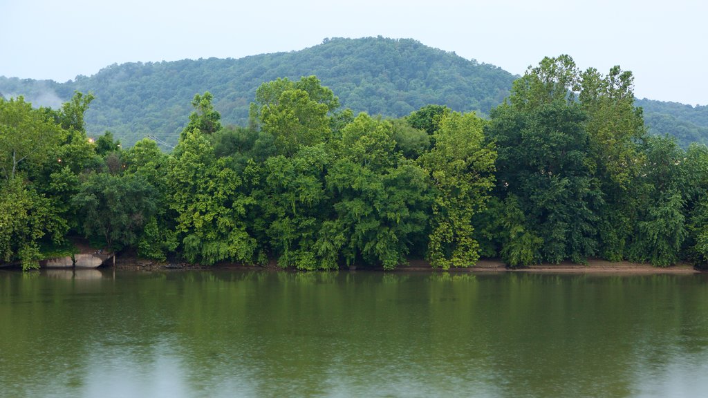 Charleston showing a river or creek and a park