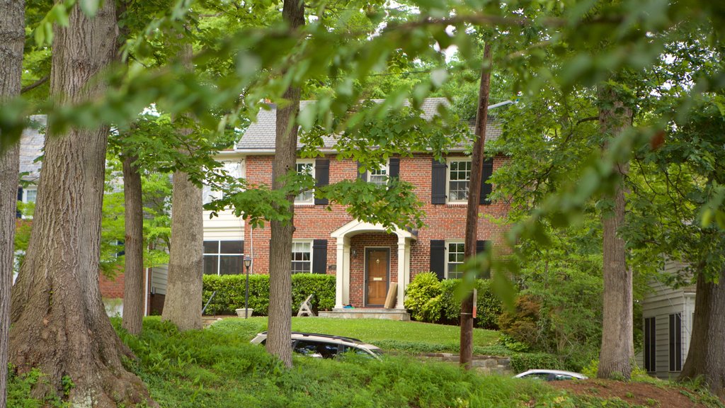 Barnaby Woods showing a garden and a house