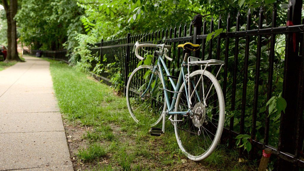 Cleveland Park mostrando ciclismo y un parque