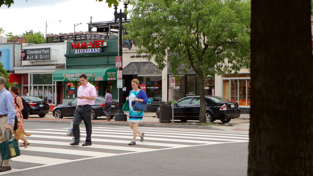 Cleveland Park showing street scenes