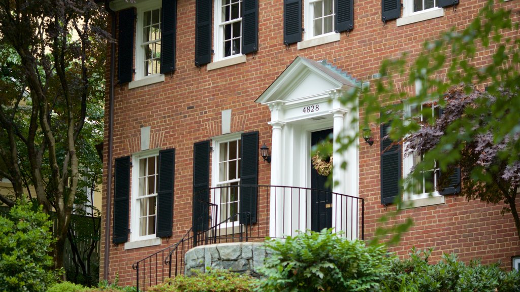 Spring Valley showing a house and heritage elements