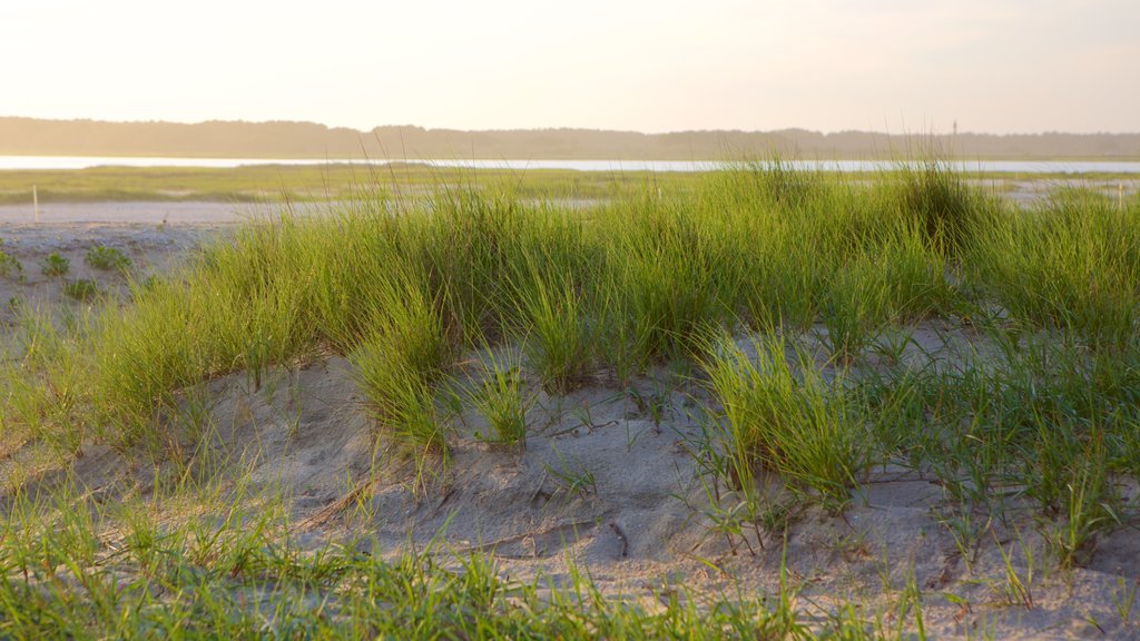 Chincoteague ofreciendo una playa de arena y vistas generales de la costa