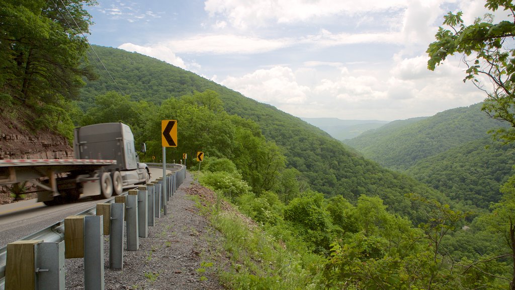 Canaan Valley que incluye montañas y escenas tranquilas