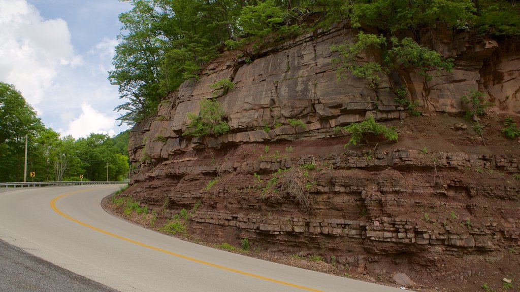 Canaan Valley