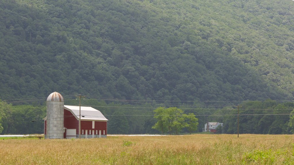 Canaan Valley bevat akkerland, een huis en vredige uitzichten