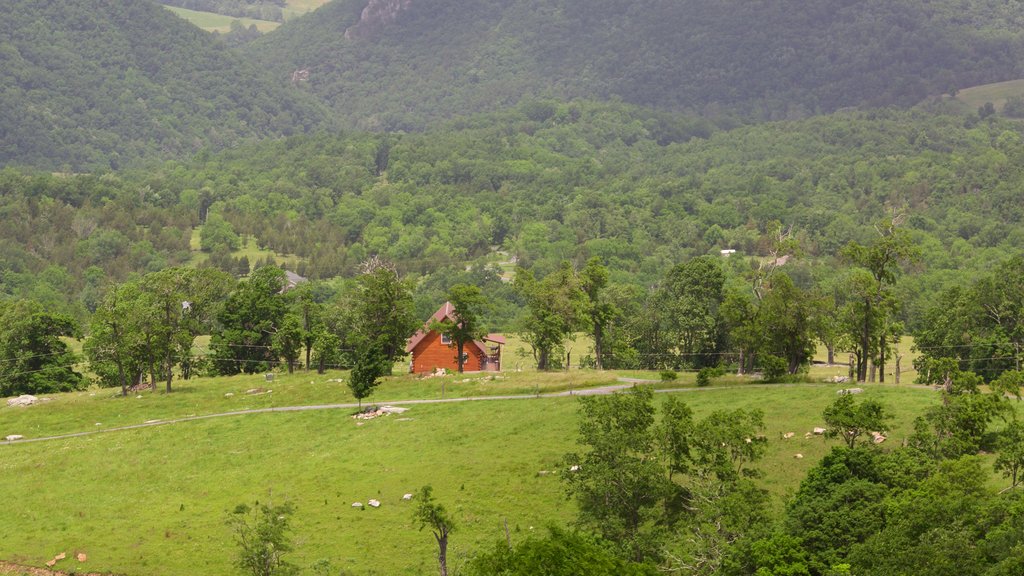 Canaan Valley which includes a house, tranquil scenes and farmland