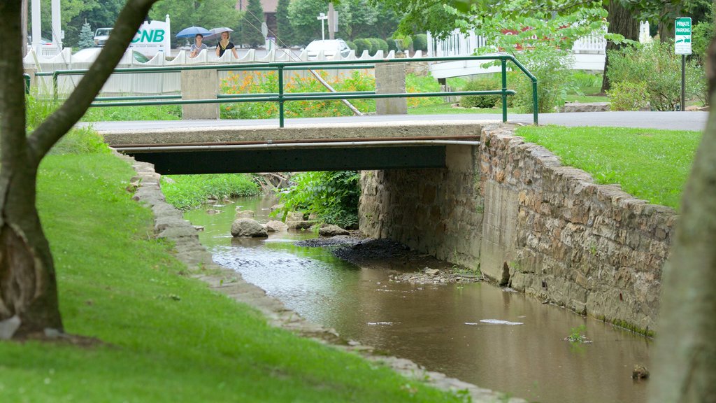 Berkeley Springs State Park featuring a bridge, a river or creek and a garden